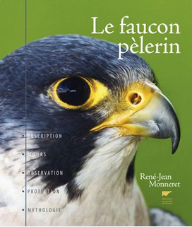 Le faucon pélerin